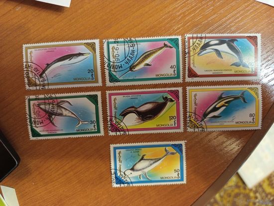 1990 Монголия фауна моря полная серия (4-7)