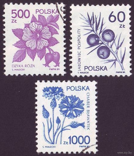 Лечебные растения Польша 1989 год 3 марки