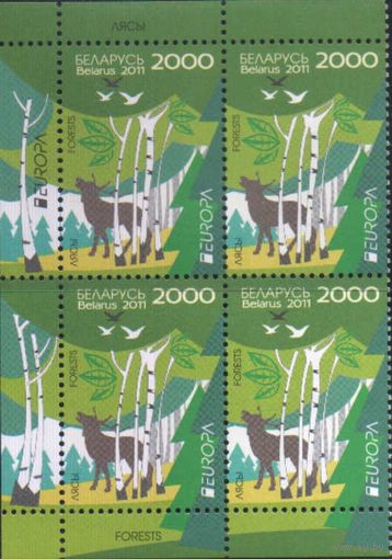 Два квартблока РБ - Леса