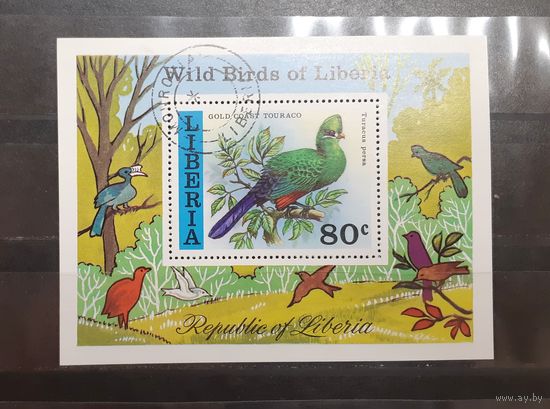 Либерия. Фауна. Птицы. Блок (403)