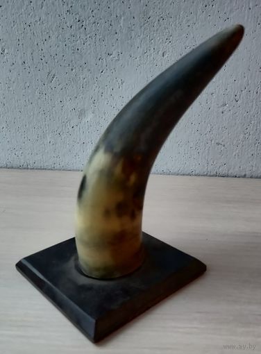 Рог обработанный Вешалка СССР