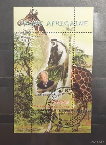 Конго. 2009 год. Фауна Африки. Блок (668)