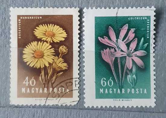 Венгрия цветы 2шт