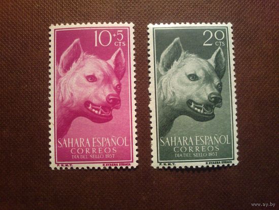 Испанская Сахара 1957 г.Полосатая гиена ./26а/