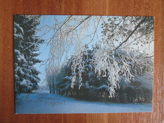 Почтовая карточка.1990г.Ю.Буркин.