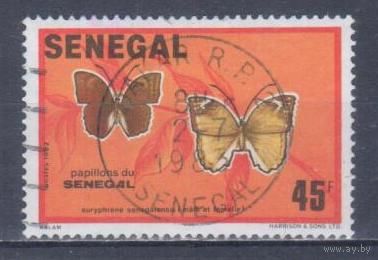 [2484] Сенегал 1982. Фауна.Бабочка. Гашеная марка.