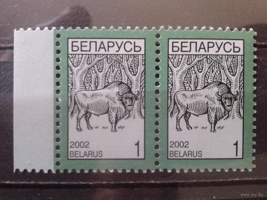 2002 Стандарт, зубр** пара