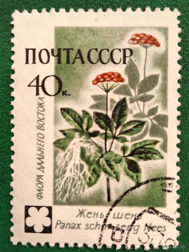 СССР 1960. Флора. Жень Шень. Марка из серии