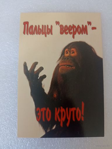 Животные, Обезьяны, 2004 год. Карманные календарики, Календарик, Календарь