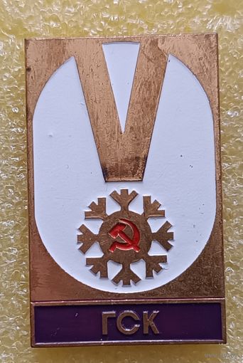 5 зимняя спартакиада народов СССР 1982 ГСК (тяж. мет.)