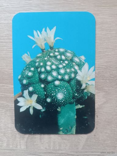 Календарик 1990