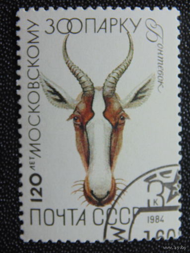 СССР 1984 г. Бонтебок.