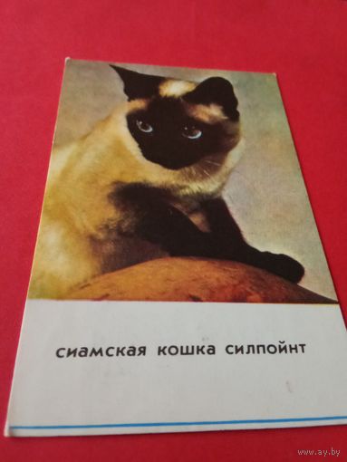 Календарик 1993г.