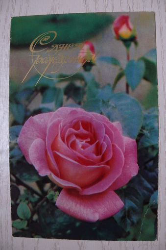 Папикьян Р., С днем рождения! 1975, чистая.