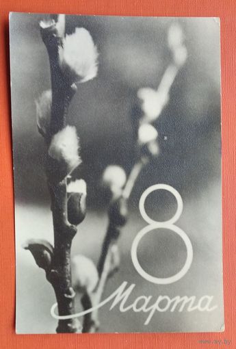 Наровлянский И. 8 марта. Фотооткрытка. 1962 г. Подписана