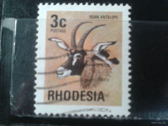 Родезия, 1974. Лошадиная антилопа