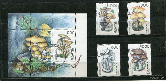 Беларусь 1999.. Грибы