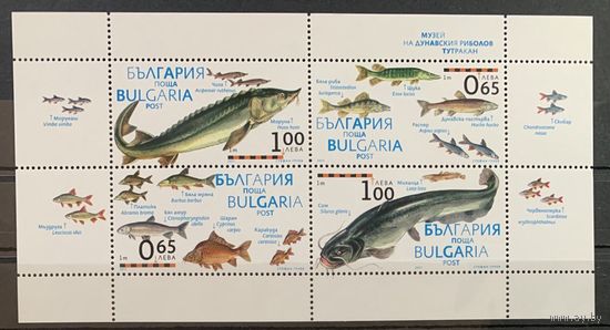 Болгария 2011.Фауна. Рыбы блок (5005)