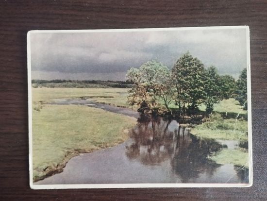 Перад навальнiцай. Рака Лясная. Белавежская пушча.