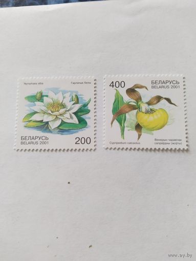 Беларусь 2001 2 м цветы
