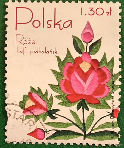 Польша 2005. Роза