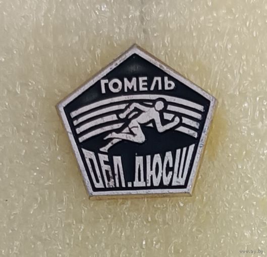Спортивная школа Областная ДЮСШ Гомель