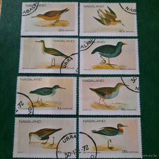Индия. Нагаленд 1972. Фауна. Птицы. Полная серия