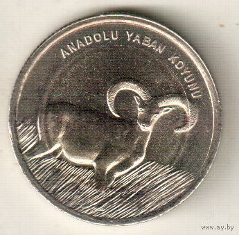 Турция 1 лира 2015 Муфлон