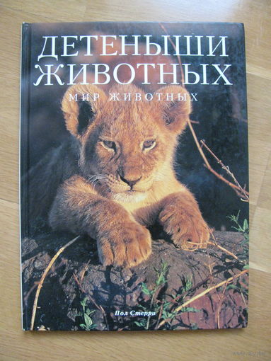 Пол Стерри "Детеныши животных. Мир животных", 1998. ОГРОМНЕЙШИЙ формат!
