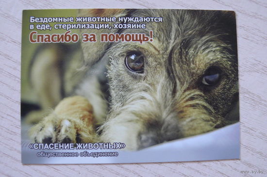 Календарик, 2016, Общественное объединение "Спасение животных" (грустный пёс :(