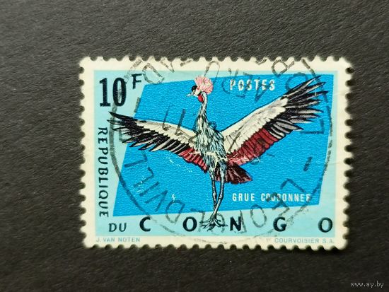 Конго 1963. Охраняемые птицы