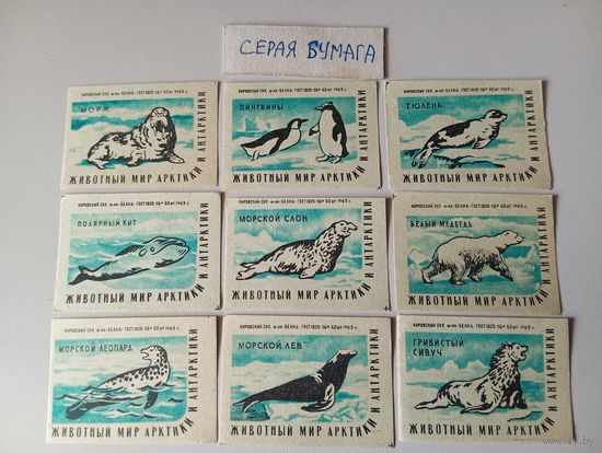 Спичечные этикетки ф.Белка. Животный мир Арктики и Антарктики. 1962 год