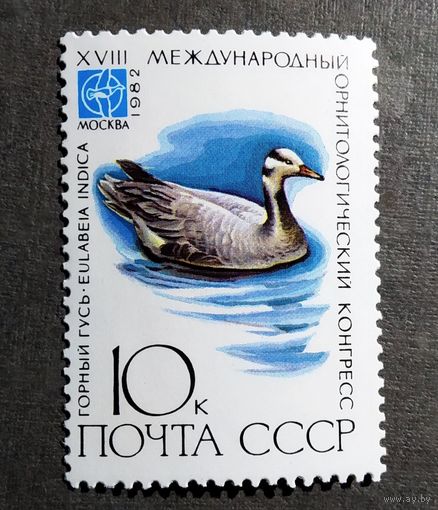 Марка СССР 1982 год Птицы