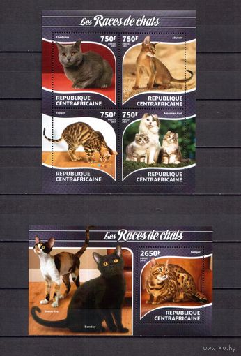 ЦАР 2015 Фауна домашние кошки - 1 лист + 1 блок MNH**