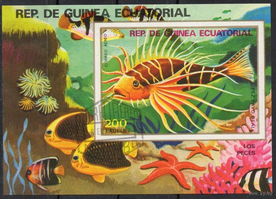 Экваториальная Гвинея 1975. Фауна. Рыбы. Блок (36)
