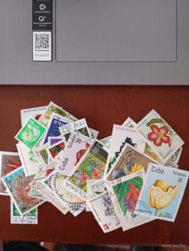 Флора сборный разные страны 41шт