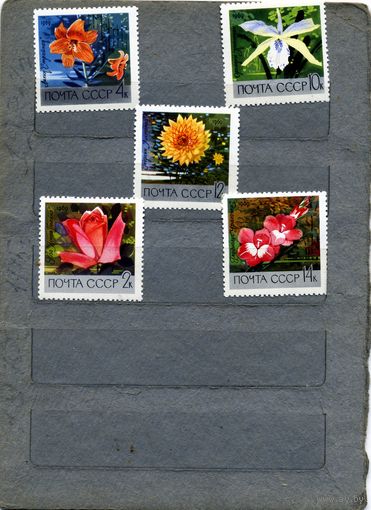 СССР, 1969,  Главный** ботанический сад АН в Москве ,     серия 5м  чистая