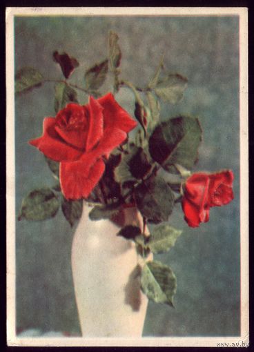 1958 год Г.Самсонов
