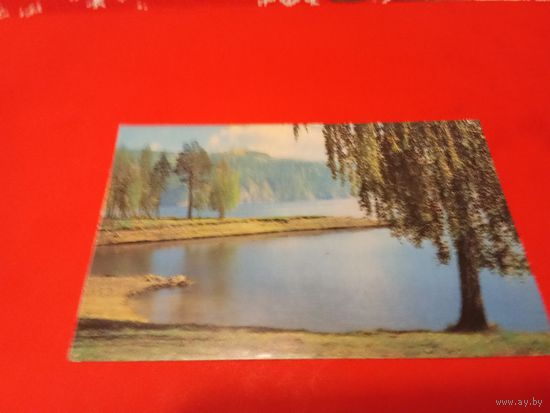Календарик 1981г.