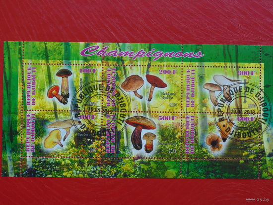 Кот- дИвуар 2013г. Грибы.