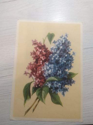 Открытка "Цветы"