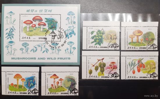 Корея. 1989 год. Флора. Грибы. Блок и 6 марок (978)