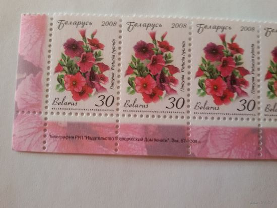 Двенадцатый стандарт. 30 р. Зак. 57-2009. Нижняя сцепка (А023)