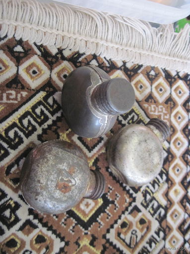 Масленка армейская.