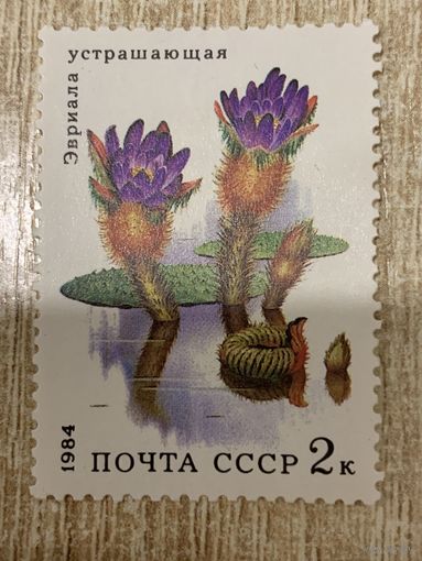 СССР 1984. Эвриала устрашающая. Марка из серии