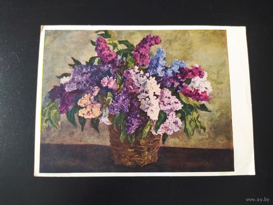 П. Кончаловский. Сирень