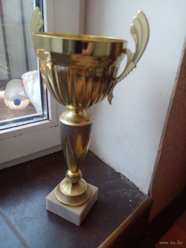 Спортивный кубок 33 см, основание гранит