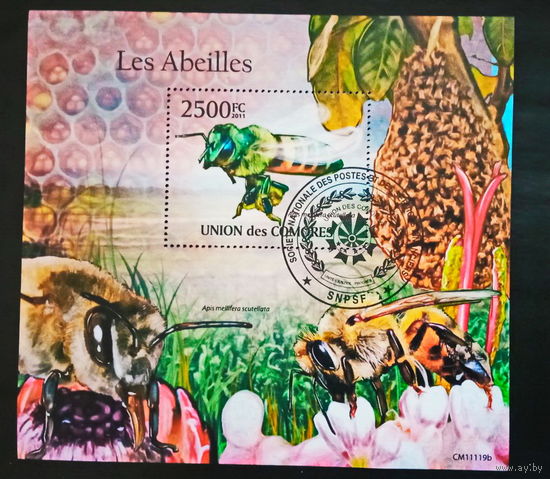 ЛИСТ ФАУНА животные  СТО