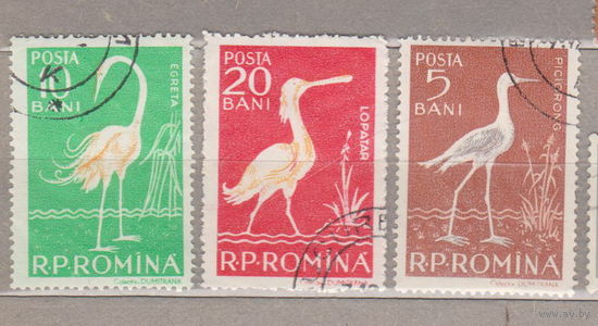 Птицы  Фауна  Румыния 1957 год лот 1007