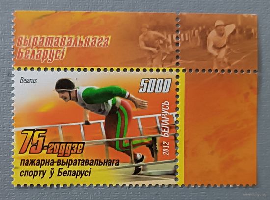 75-летие пожарно-спасательного спорта в Беларуси, 2012